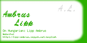 ambrus lipp business card